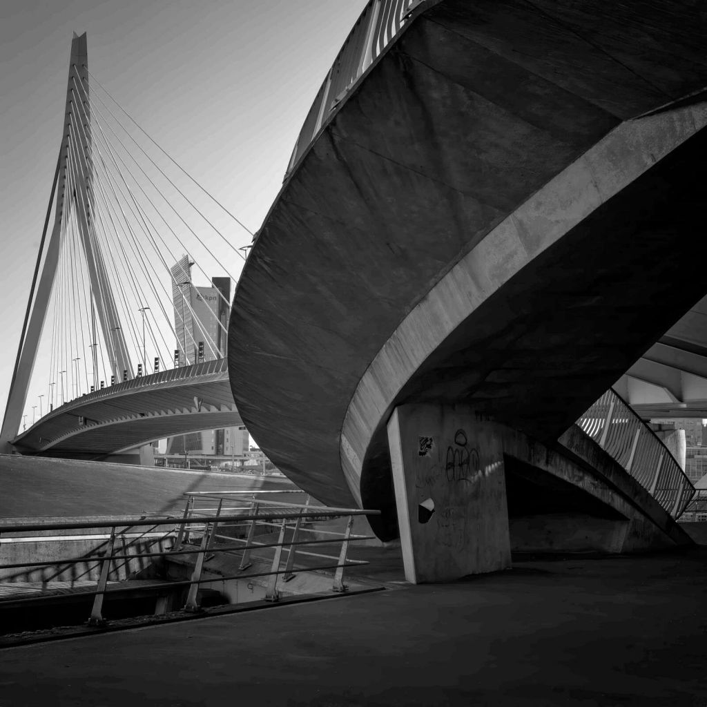 Erasmus Bridge and Urban Architecture