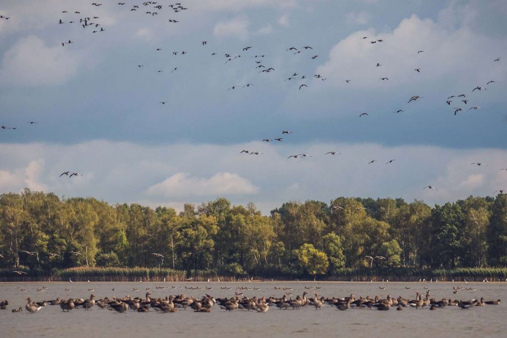 Flight over the Water