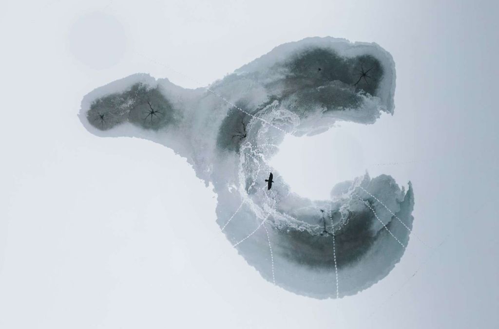 Icy Wings