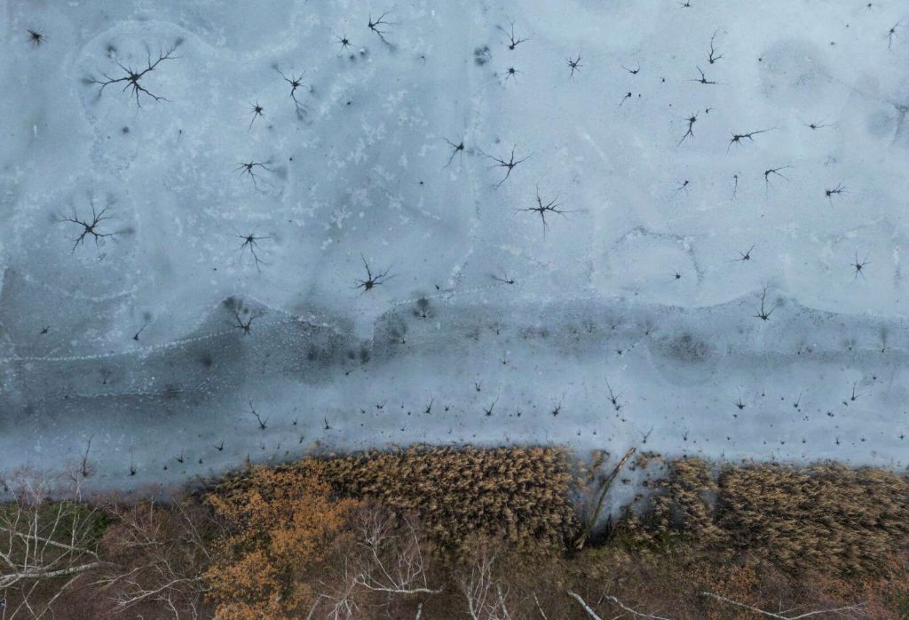 Winter Textures
