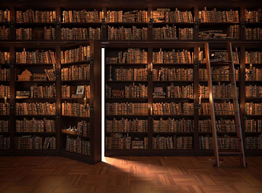 Secret library with hidden door