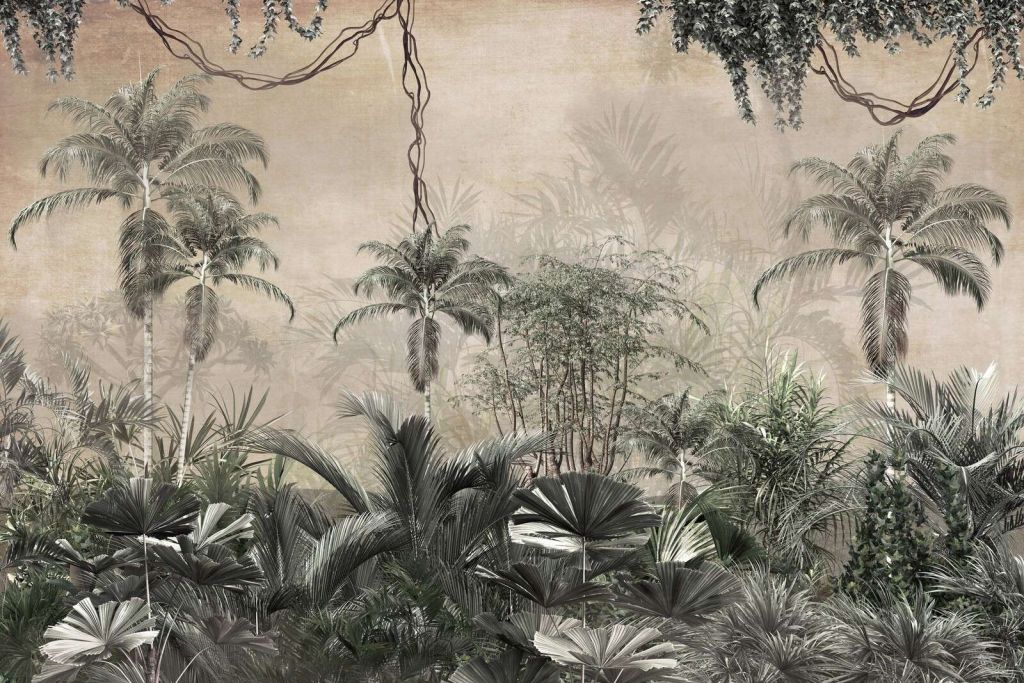 Tropical forest in mist