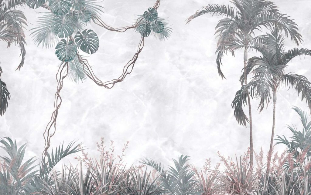 Soft tropical dream
