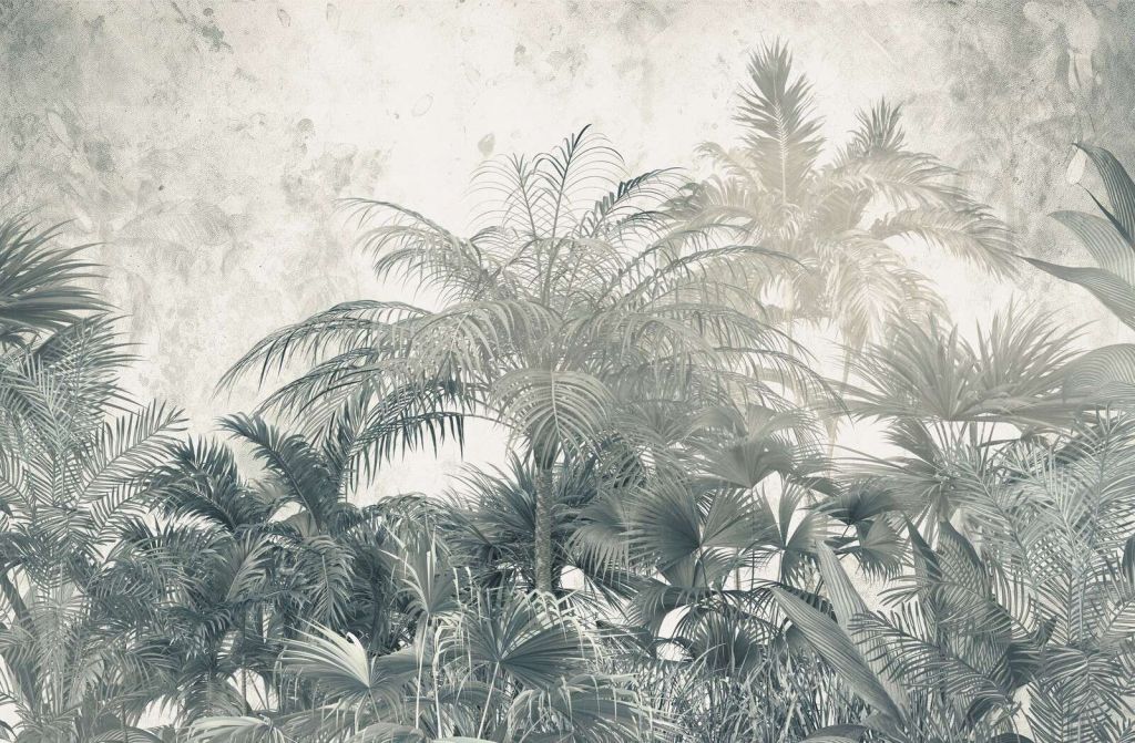 Mystical rainforest