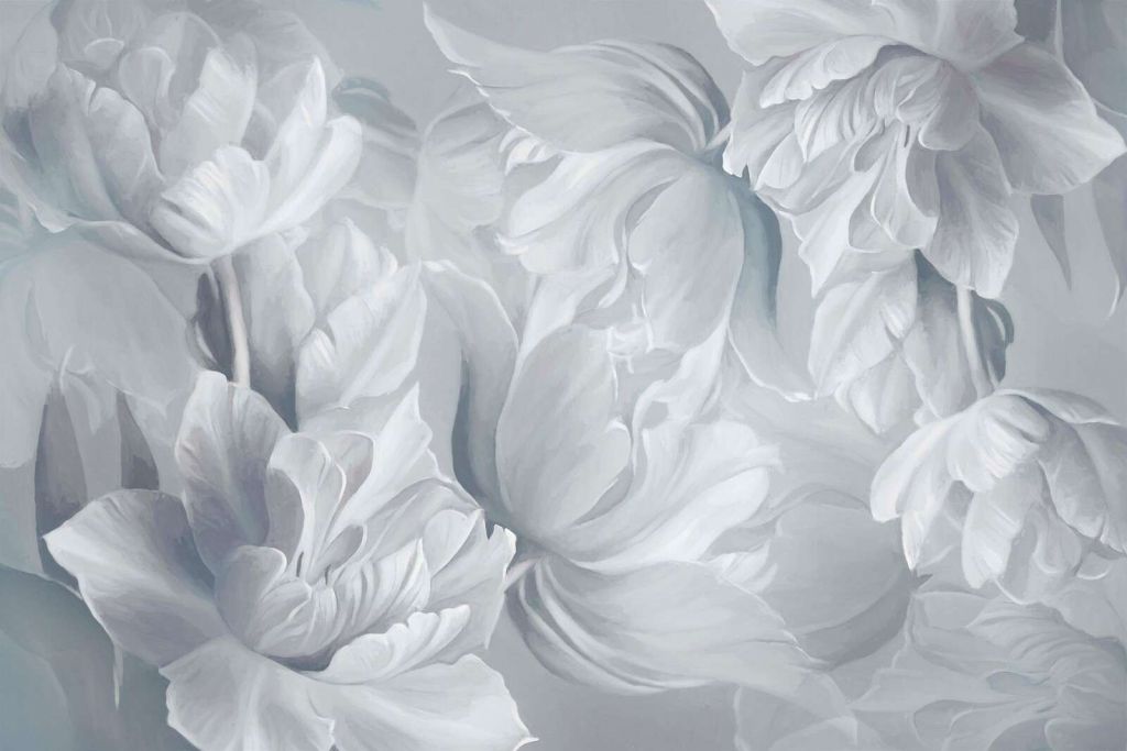 Big White Tulips