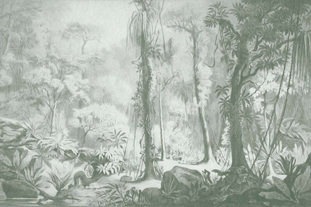 Tropical forest - green