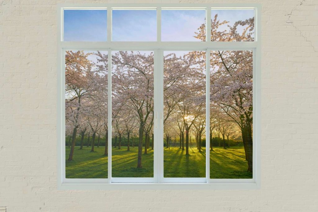 Blossom park in spring sun