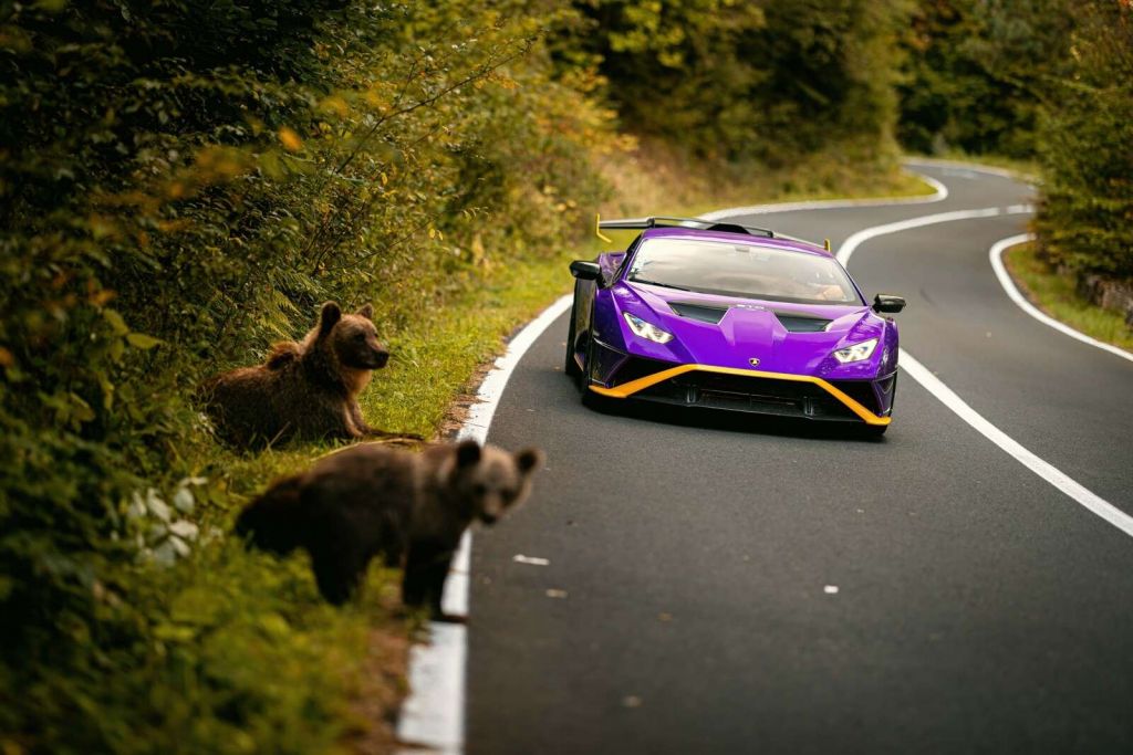 Nature meets speed