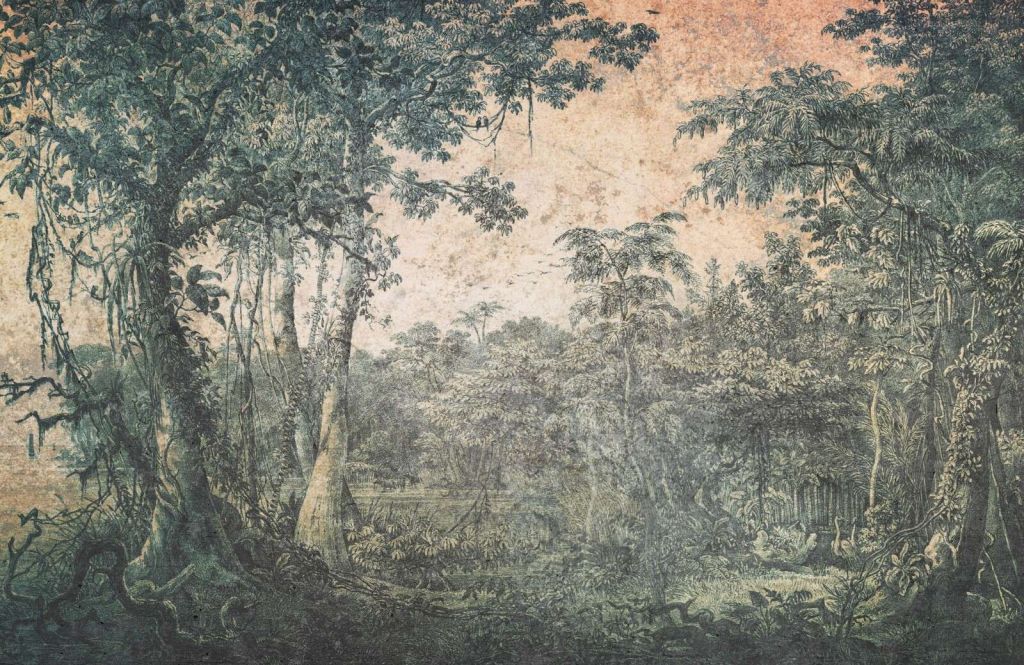 Weathered tropical forest panorama