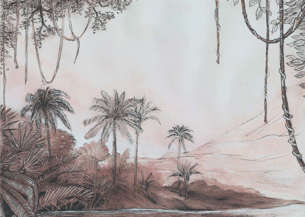 Palm Valley in Rose Light