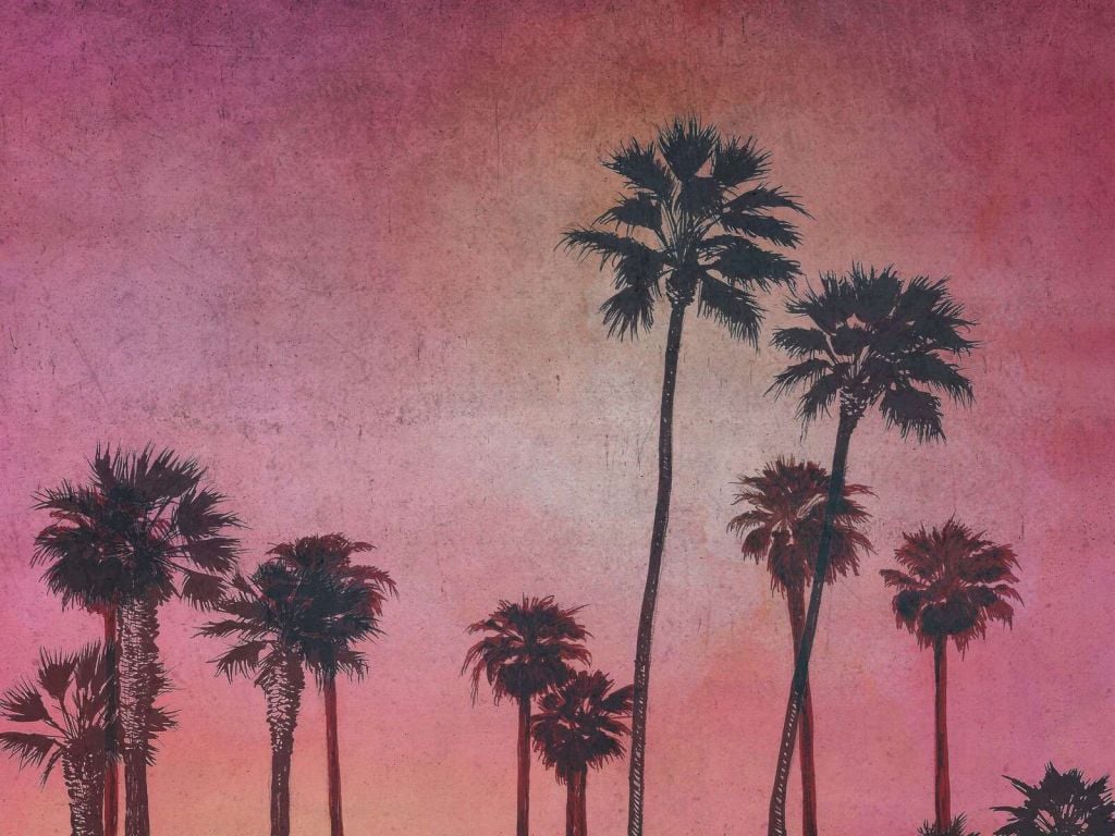 Palm trees in pink evening glow
