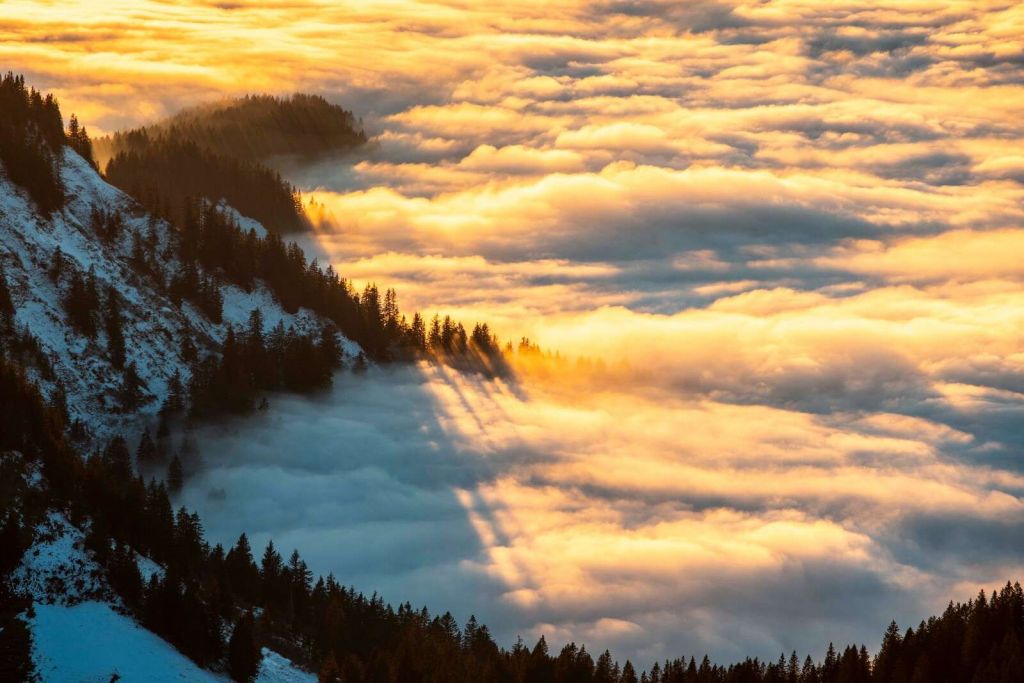Sunlight over snow-covered mountain forest