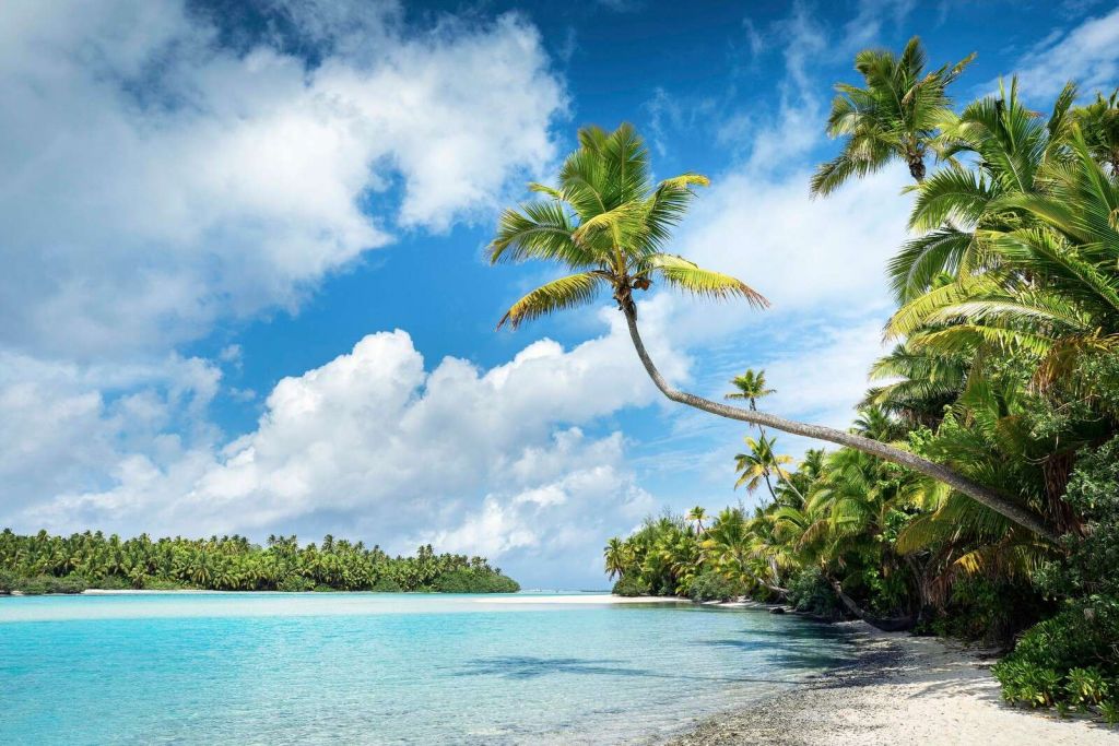 Palm trees by turquoise lagoon