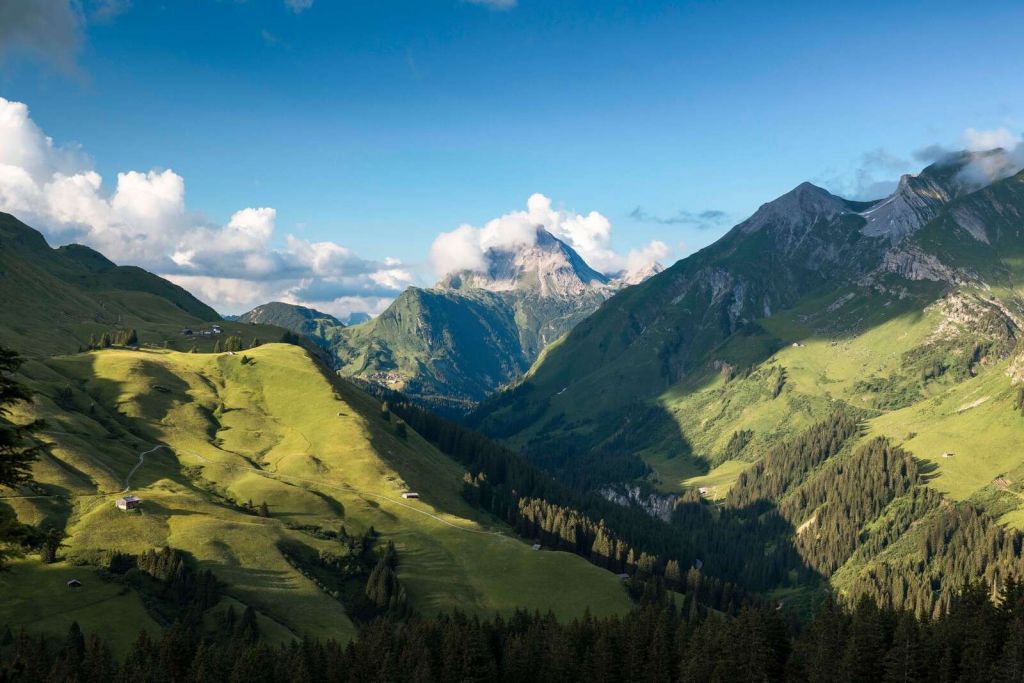 Summer light over green alpine valley