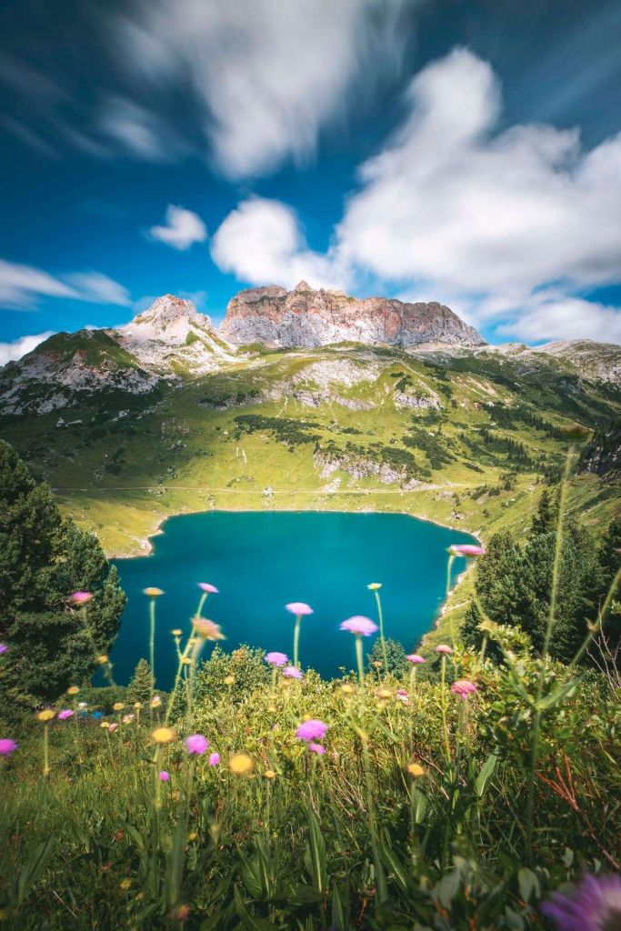 Flower meadow by a clear mountain lake
