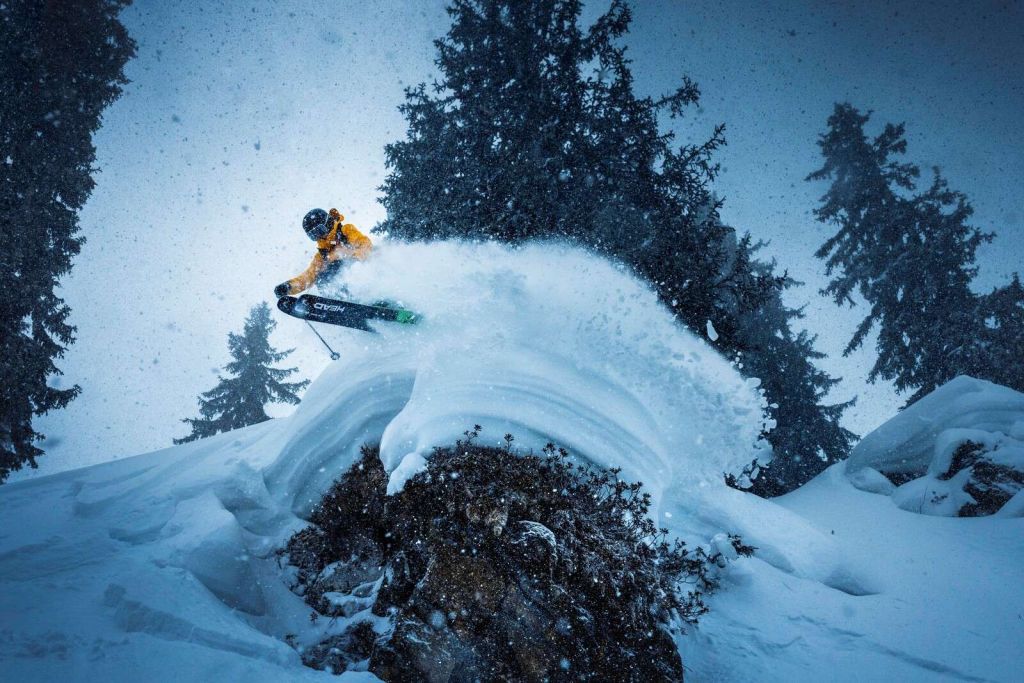 Jump in snowstorm among pine trees
