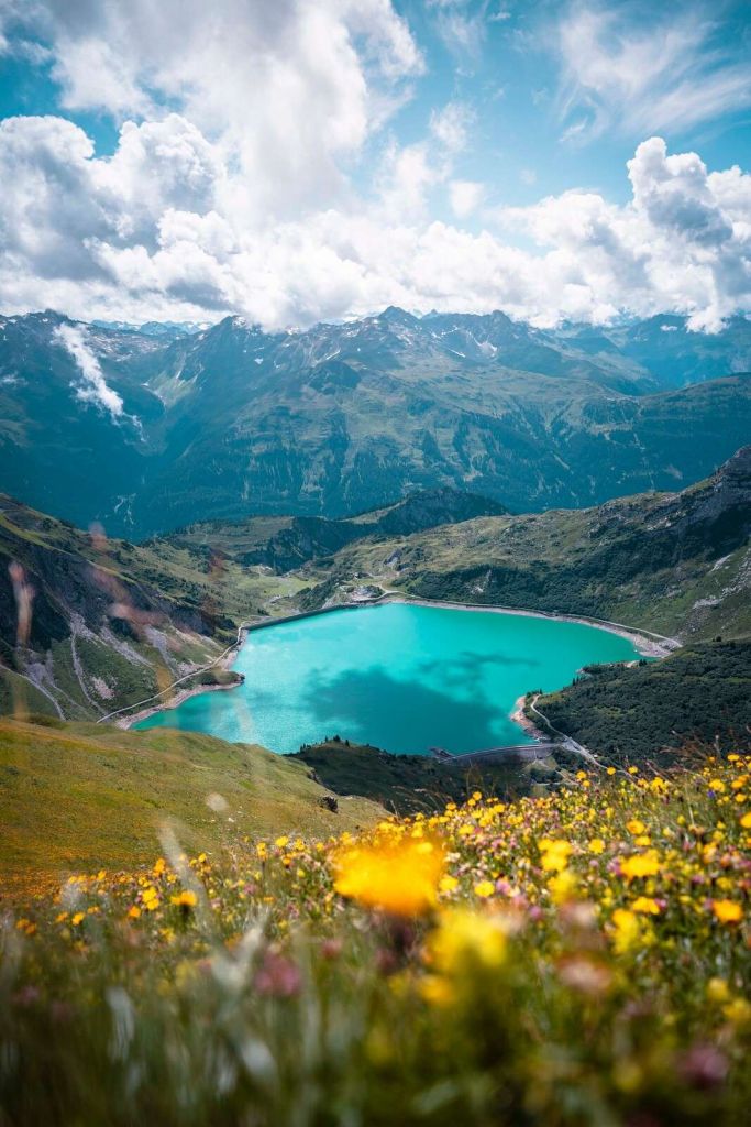 Flower meadow by turquoise mountain lake