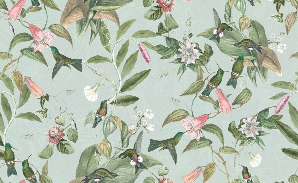 Hummingbirds among soft flower branches
