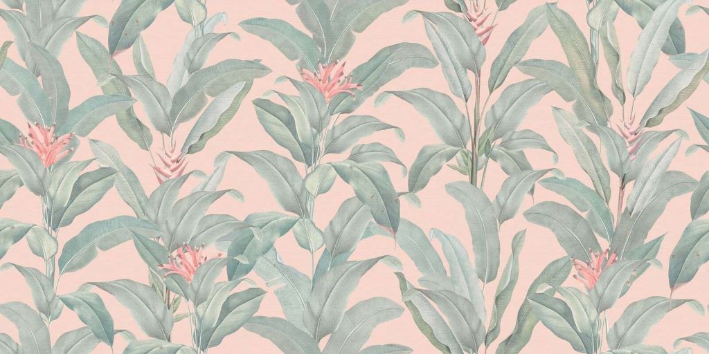 Tropical heliconia in powder pink
