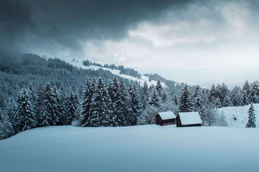 Snow-covered pine forest with wooden cabins