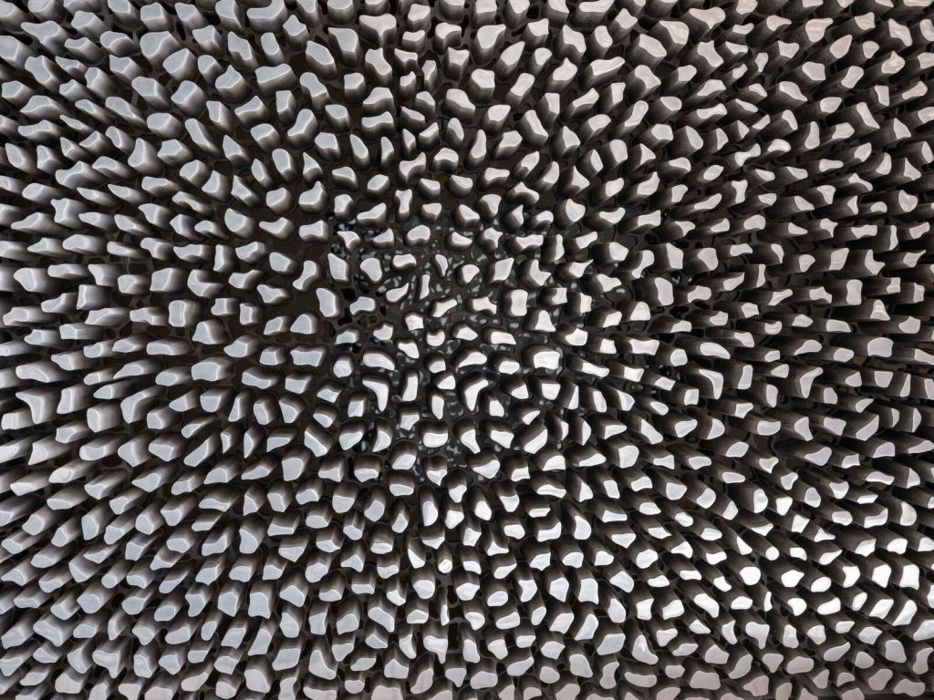 Textured wooden surface