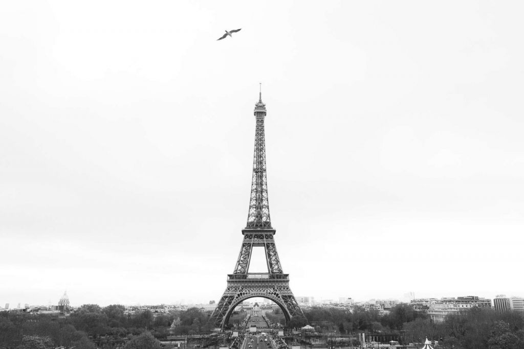 Eiffel Tower Under Parisian Sky