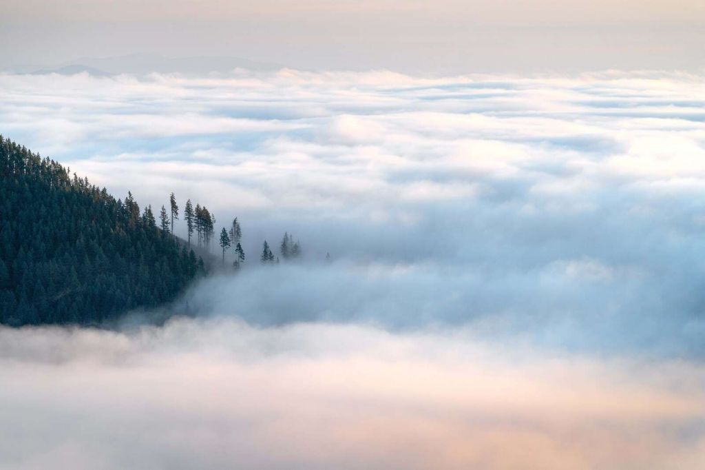 Mountain Forest Above The Clouds