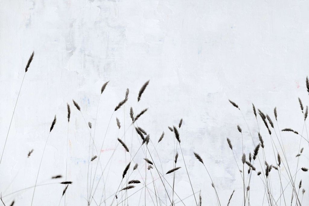 Minimal field grass in silence