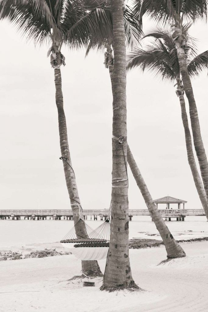 Beach palms with hammock in sepia.