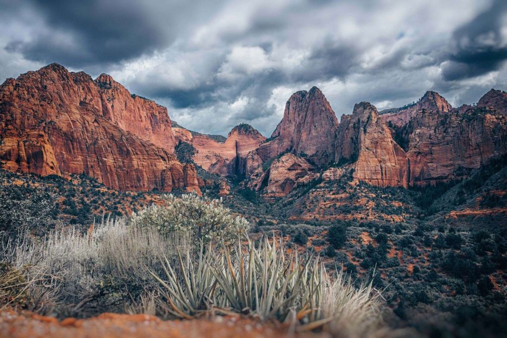 Red cliffs in desert light