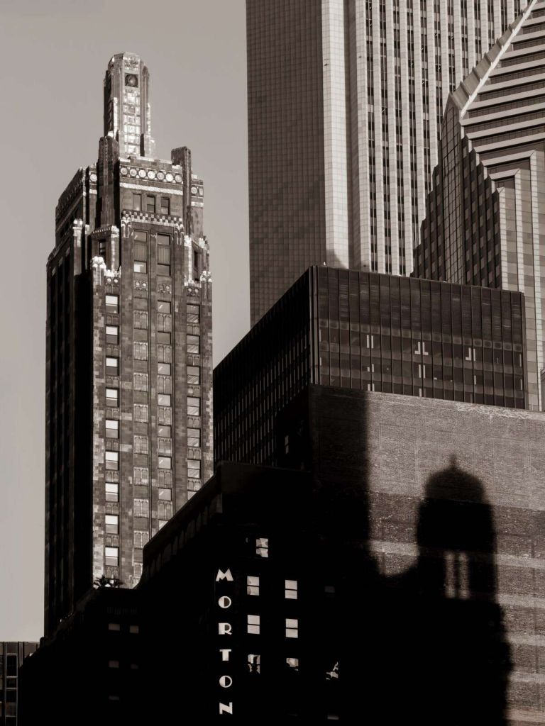 Shadows between towering facades