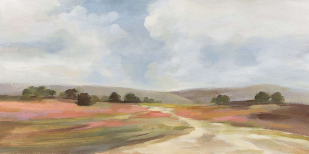 Summer heath under cloudy sky