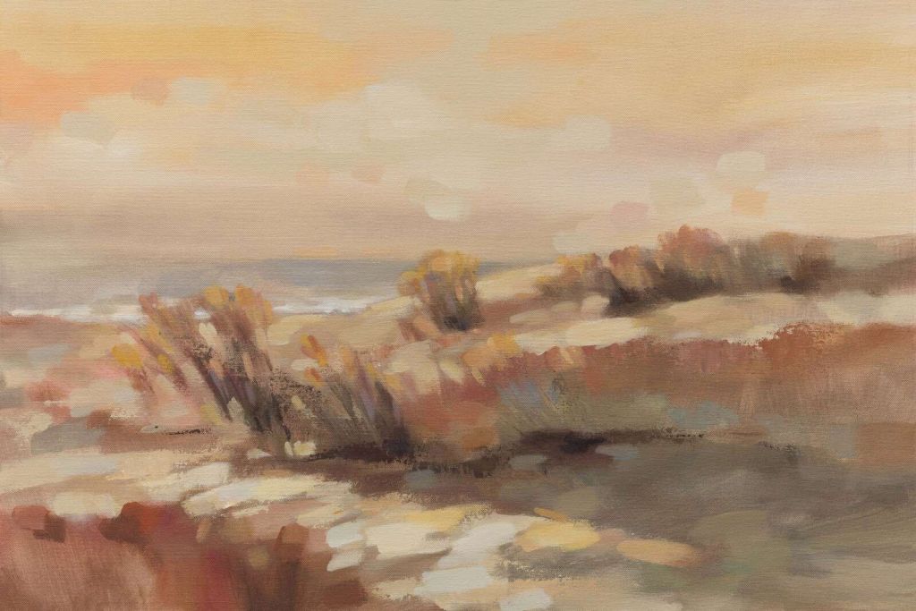 Warm dunes in evening light