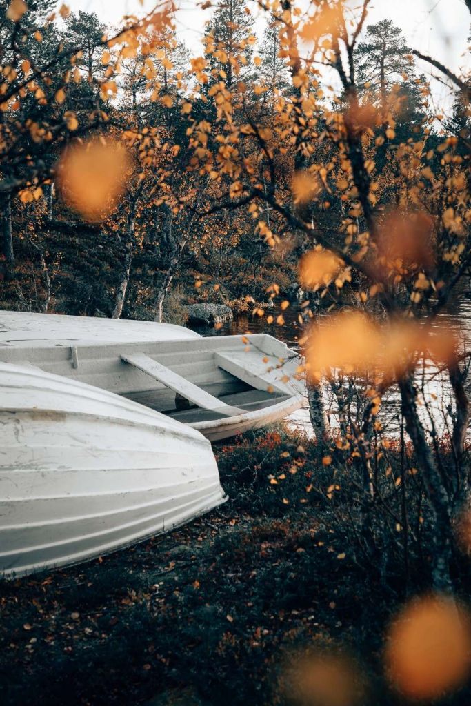 White rowboats on an autumn lake