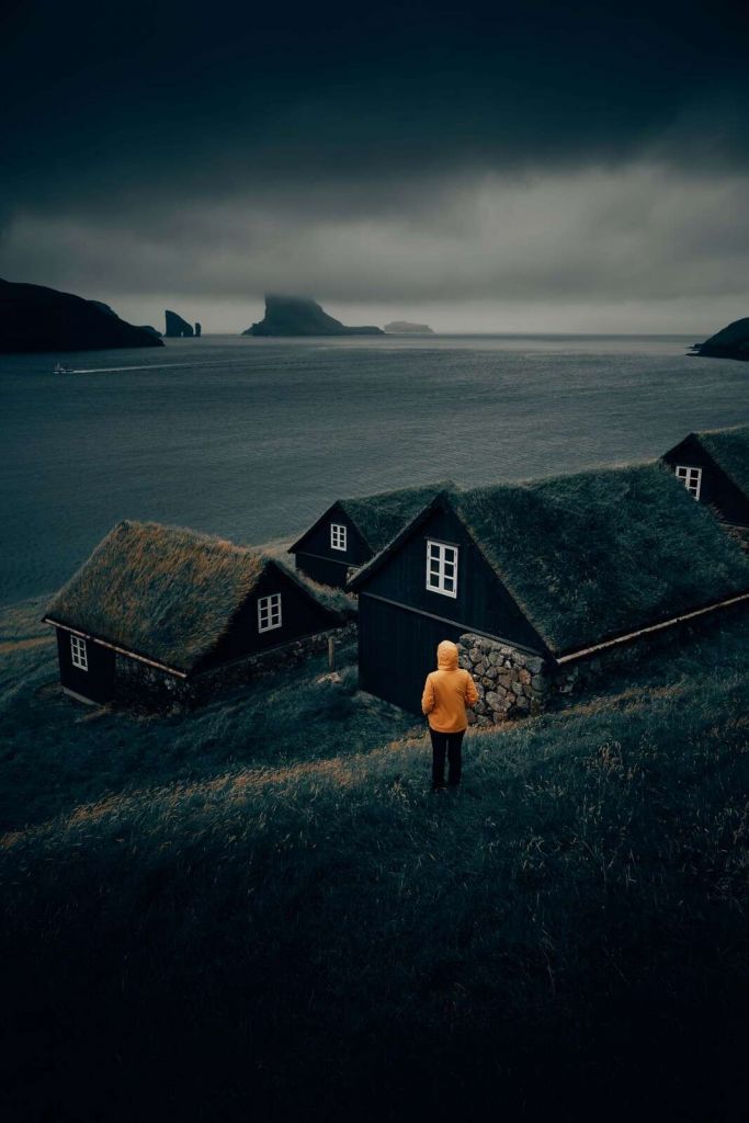 Grass roofs by a northern fjord