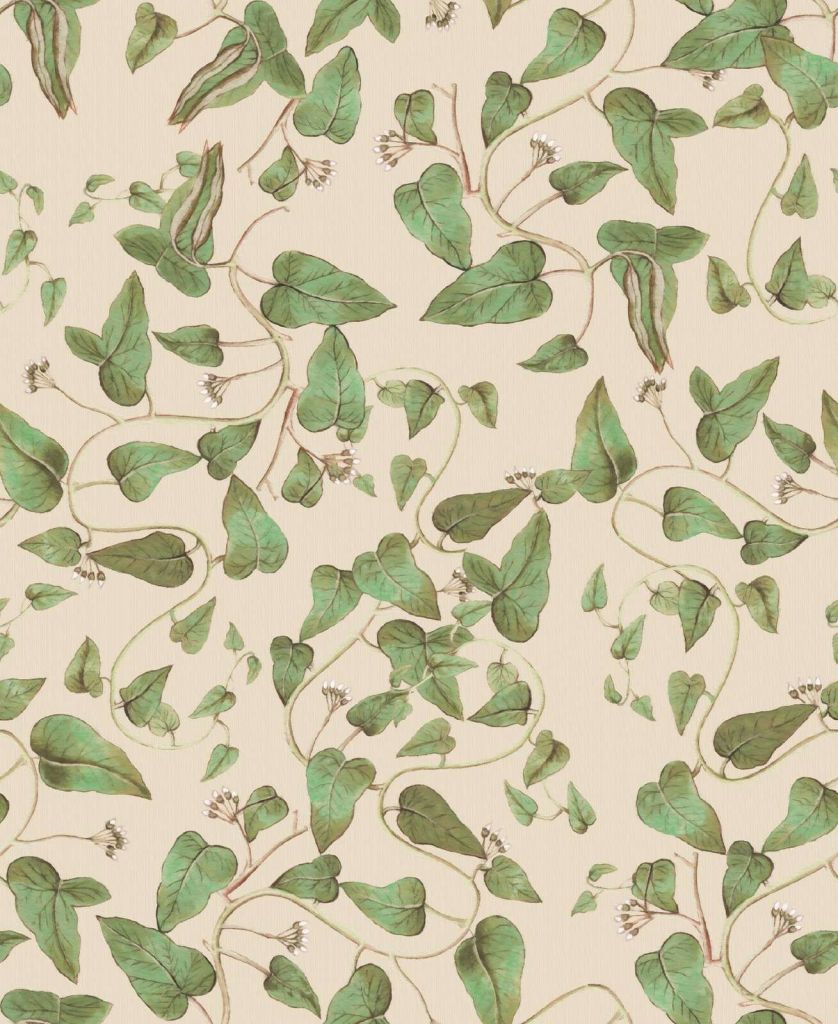 Klimmende bonenranken op crème