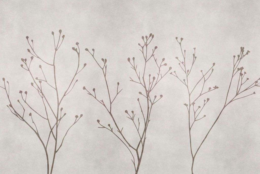 Minimalistic delicate wildflower silhouettes
