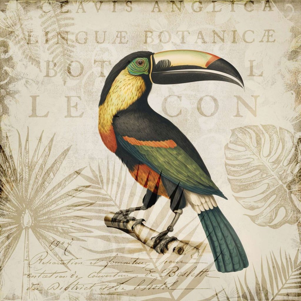 Toucans tropical hideaway