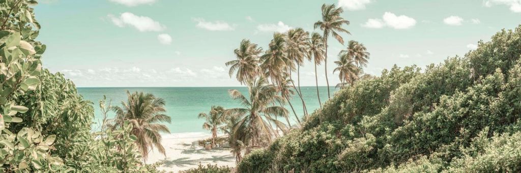 Tropical beach with swaying palm trees