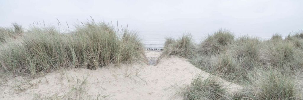 Misty dunes on a quiet coast