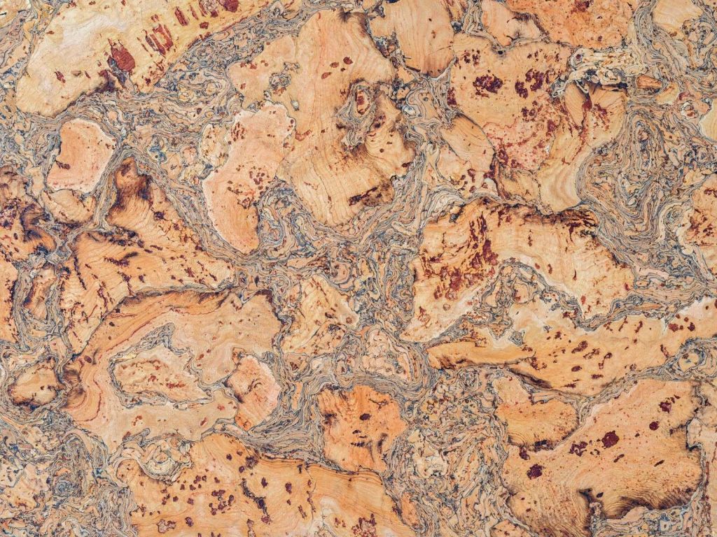 Warm cork pattern with organic lines