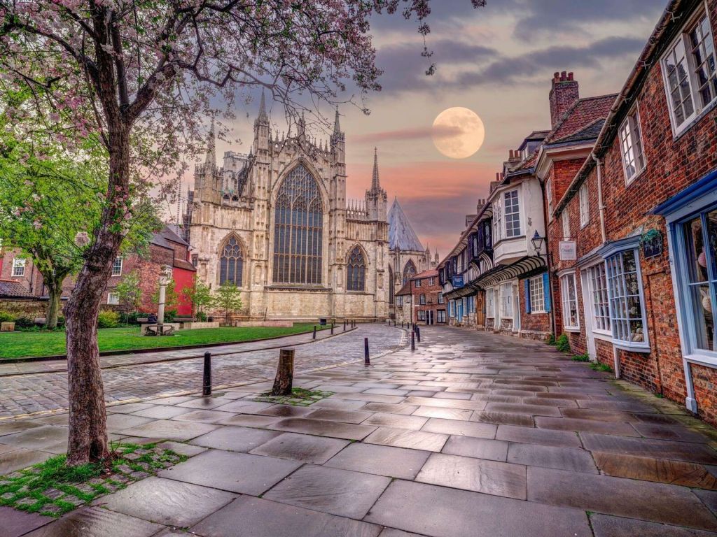 Gothic cathedral under a full moon