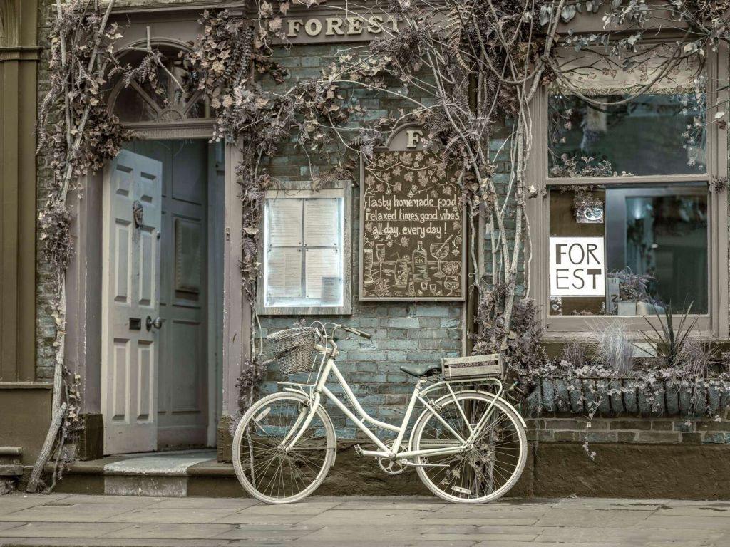 Vintage city bike by a storefront