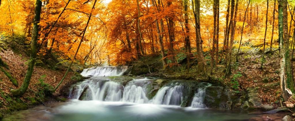 Waterfall in autumn