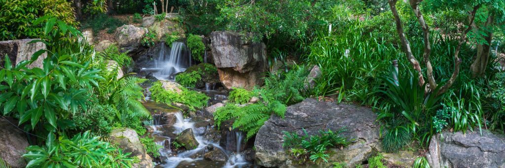 Waterfall with tropical plants