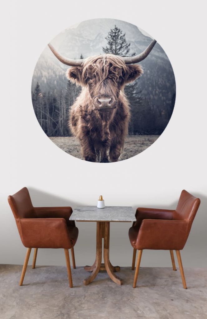 Wallpaper circle Scottish Highlander by the forest