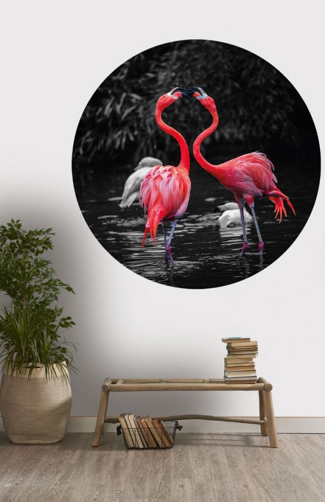 Wallpaper circle with flamingos