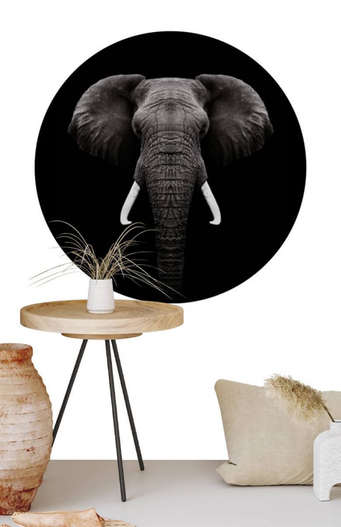 Wallpaper circle Dark elephant