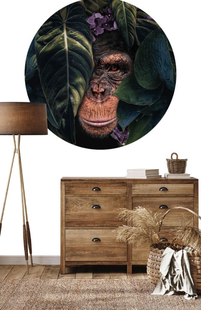 Wallpaper circle Jungle chimpanzee