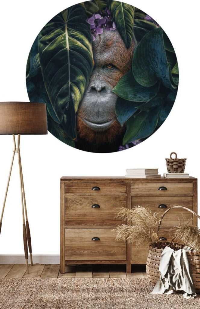 Wallpaper circle Jungle orangutan